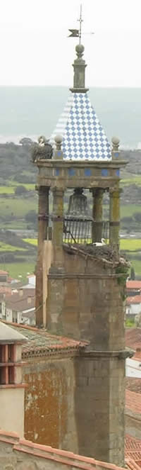 bell tower with storks' nests, Trujillo