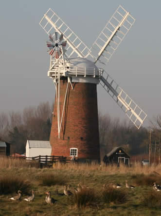 Horsey Mill