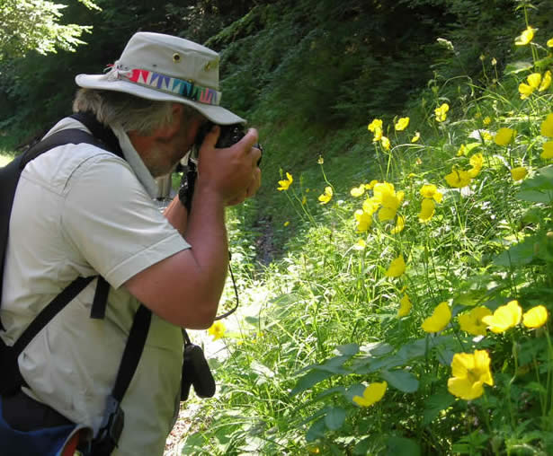 Ivan photographing Welsh poppies
