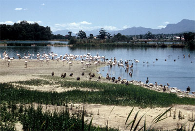 Paarl Nature Reserve