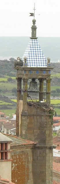 belltower in Trujillo