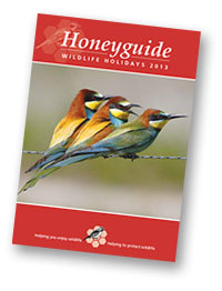 Honeyguide brochure 2013