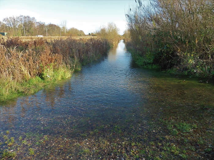 Flooding, 2 December 2021.