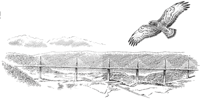 Short-toed eagle