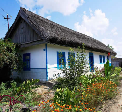 Delta house