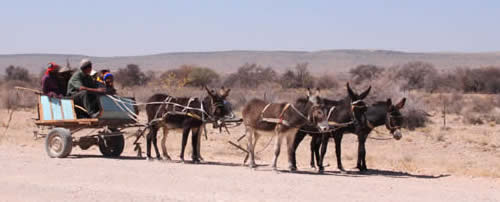 Kalahari ferrari