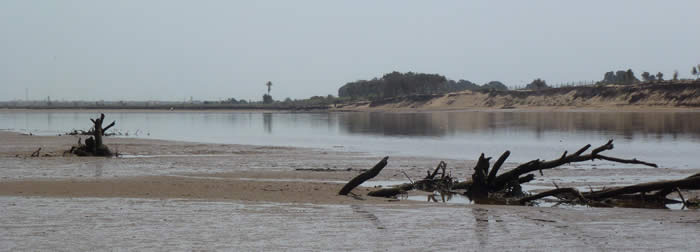 Souss Estuary