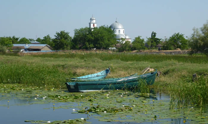 Approaching Leitea