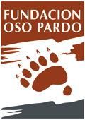 Nuestro equipo