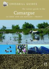 Crossbill Guide Camargue
