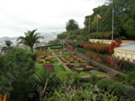Tropical gardens, Funchal
