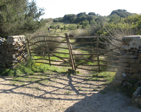 Olive wood gate