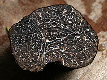 black truffle (from Wikipedia)