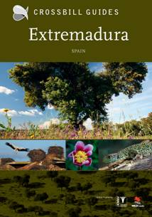 Extremadura Crossbill Guide