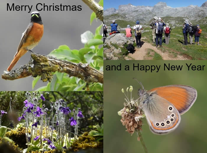 Merry Christmas and a Happy New Year