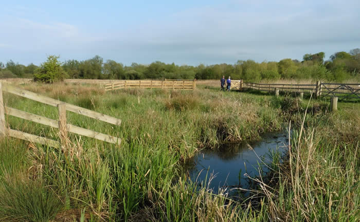 Thorpe Marshes, 27 April 2020