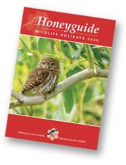 Honeyguide brochure