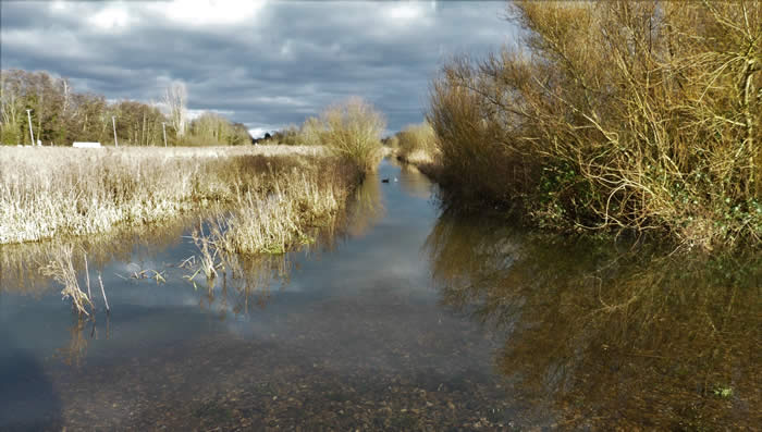 Flooded path through the marshes, 1 Feb 2021