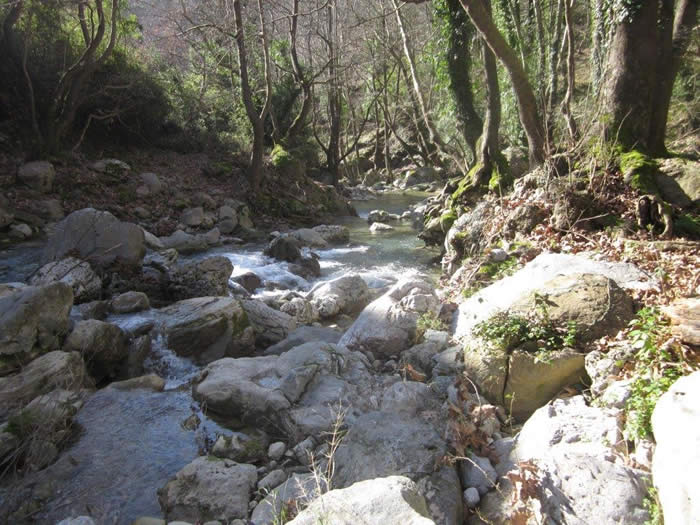 mountain river
