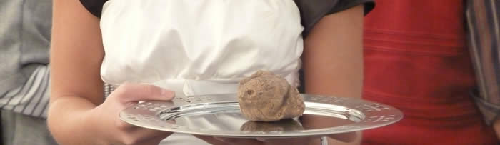 truffle in Istria