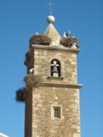 Church with white storks, Aldeacentenera