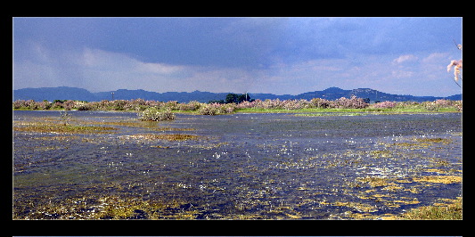 anthi lagoon1