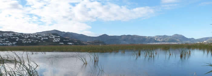 Pego Marshes