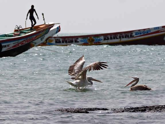 coastal fishing