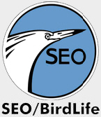 SEO logo