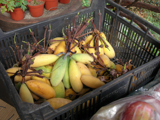 Banana passion fruit