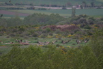 Lumbier vulture feeding station (Chris Gibson)